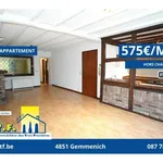 Appartement de 67 m² avec 1 chambre(s) en location à Plombieres