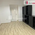 Rent 1 bedroom apartment of 32 m² in Capital City of Prague