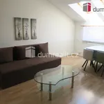 Rent 1 bedroom apartment of 40 m² in Zlín