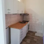 Rent 1 bedroom apartment of 45 m² in Brno