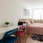 Rent 1 bedroom apartment of 45 m² in Prague