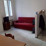 Rent 1 bedroom apartment of 30 m² in Modena