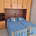 Rent 6 bedroom apartment of 120 m² in Frosinone