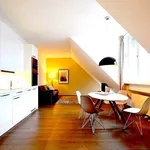 Rent 1 bedroom apartment of 592 m² in vienna