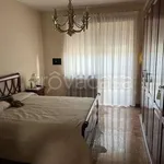 Rent 2 bedroom apartment of 55 m² in Torino