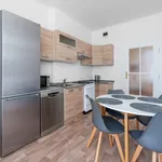 Rent 2 bedroom apartment of 110 m² in Prague