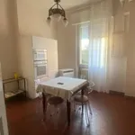 Rent 4 bedroom apartment of 120 m² in Bologna