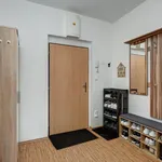 Rent 2 bedroom apartment of 53 m² in brno