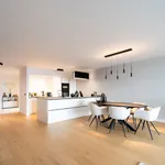 Rent 1 bedroom apartment in Antwerpen