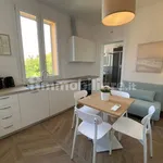 Rent 1 bedroom apartment of 45 m² in Bologna