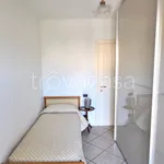 Rent 3 bedroom apartment of 70 m² in Novara