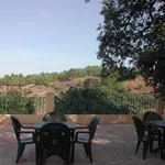 Rent 9 bedroom house of 10000 m² in Murcia']