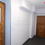 Rent 3 bedroom apartment of 60 m² in Roudnice nad Labem