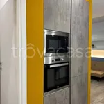 Rent 2 bedroom apartment of 90 m² in Torino