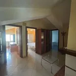 Rent 3 bedroom apartment of 60 m² in L'Aquila