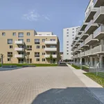 Rent 2 bedroom apartment of 52 m² in Vienna