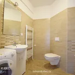 Rent 2 bedroom apartment of 43 m² in Tábor