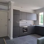 Rent 3 bedroom apartment of 55 m² in Fucecchio