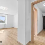 Rent 2 bedroom apartment of 61 m² in Staré Město