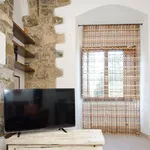 Rent 2 bedroom apartment of 40 m² in Firenze