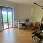 Rent 3 bedroom apartment of 90 m² in Cerreto Laziale