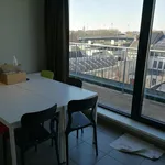 Rent 1 bedroom apartment in Kortrijk