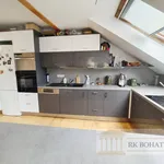 Pronajměte si 5 ložnic/e byt o rozloze 150 m² v Prague