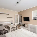 Rent 1 bedroom apartment of 31 m² in Poznan