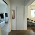 Rent 1 bedroom apartment of 75 m² in Milan