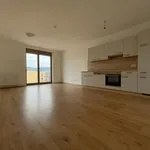 Rent 2 bedroom apartment of 60 m² in Graz