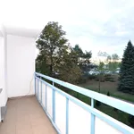 Rent 2 bedroom apartment of 36 m² in Toruń