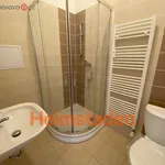 Rent 2 bedroom apartment of 37 m² in Ostrava