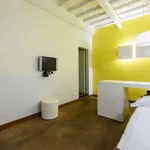 Rent 1 bedroom apartment in florence