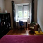 Rent a room of 75 m² in lisbon