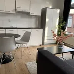 Huur 1 slaapkamer appartement van 25 m² in Den Haag