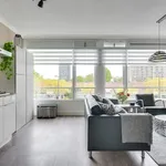 Rent 2 bedroom apartment of 47 m² in Oude Gracht-West