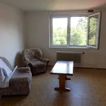 Rent 1 bedroom apartment in České Budějovice