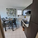 Rent 1 bedroom apartment of 26 m² in Sainte