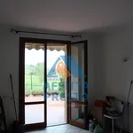 Rent 4 bedroom apartment of 80 m² in Cerreto Guidi