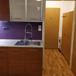 Rent 1 bedroom apartment of 32 m² in Olomouc