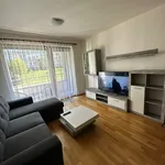 Rent 1 bedroom apartment of 33 m² in Prague