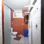 Rent 1 bedroom apartment in Brno