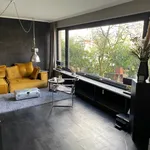 Rent 5 bedroom apartment of 165 m² in Hamburg