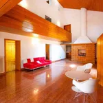 Rent 4 bedroom apartment of 450 m² in Treviso