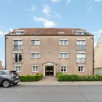 Rent 3 bedroom apartment in Oostkamp