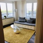 Rent 2 bedroom apartment of 60 m² in Dresden