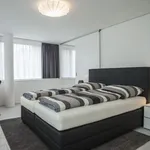 Zugerstrasse, Cham - Amsterdam Apartments for Rent