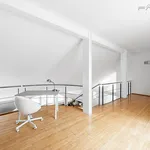 Rent 5 bedroom apartment of 250 m² in Prague