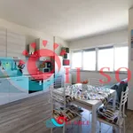 Rent 2 bedroom apartment of 70 m² in pisa