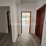 Rent 3 bedroom apartment of 100 m² in Palermo